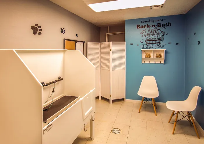 Pet grooming room with modern washing station, bright blue walls, and stylish seating for a comfortable pet care experience.