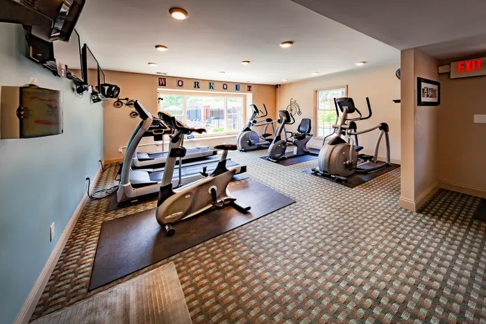 Bright and inviting fitness center with modern exercise equipment and large windows for natural light.
