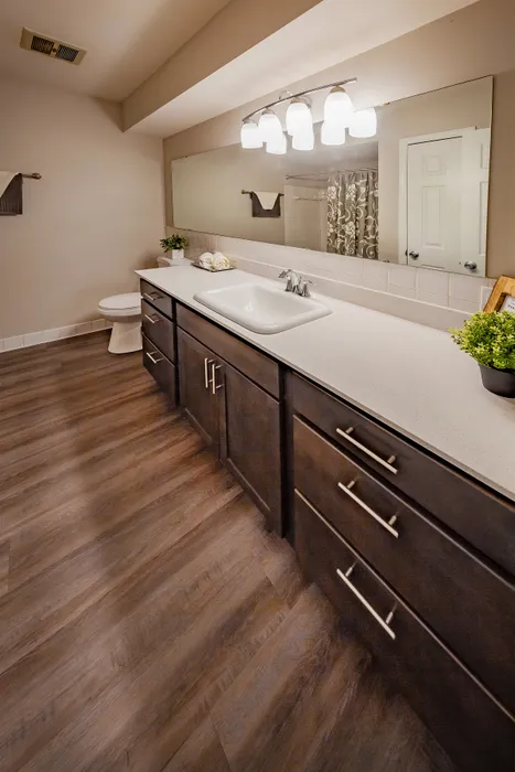Elegant bathroom with sleek dark wood cabinets, spacious vanity, and modern lighting fixtures, creating a sophisticated ambiance.
