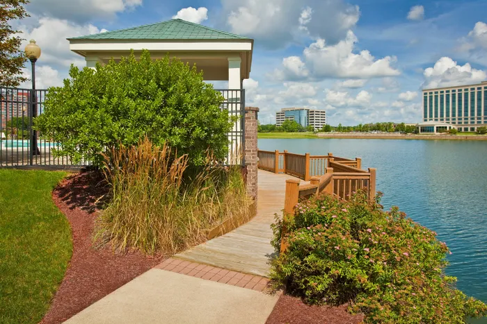 Charming lakeside view with a scenic boardwalk, lush greenery, and modern buildings in the background under a bright blue sky.