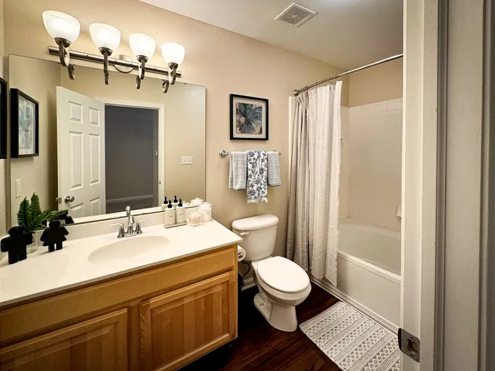 Bright and modern bathroom featuring an elegant vanity, large mirror with stylish lighting, and a cozy bathtub with a sleek shower curtain.
