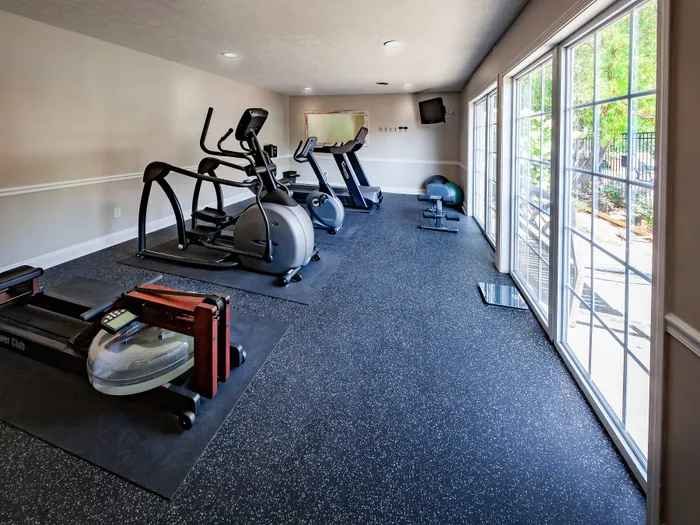 Bright and inviting fitness room with modern exercise machines, large windows, and a serene outdoor view.