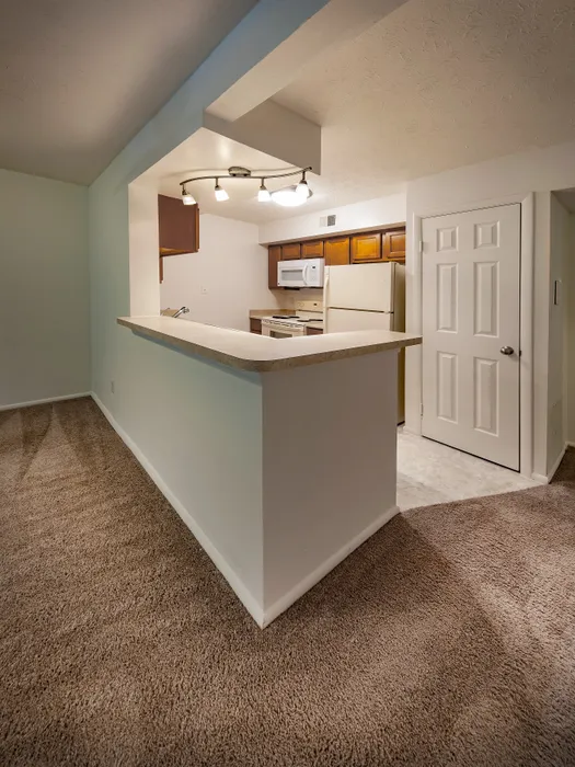 Cozy kitchen with modern lighting, warm carpeting, and sleek archway for stylish living.