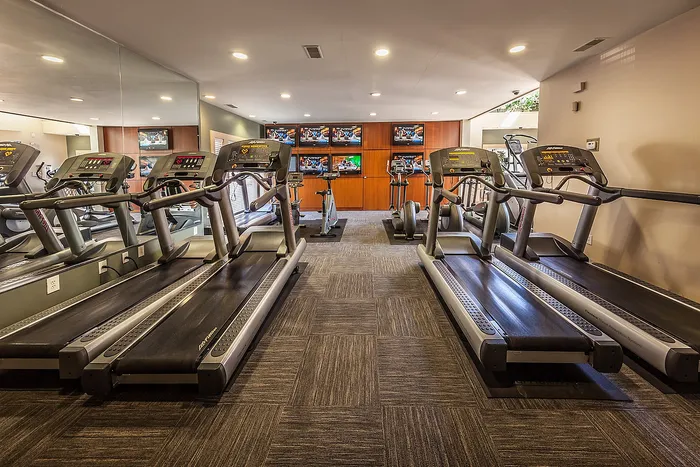Modern fitness center featuring high-quality treadmills and cardio equipment in a spacious, bright setting.