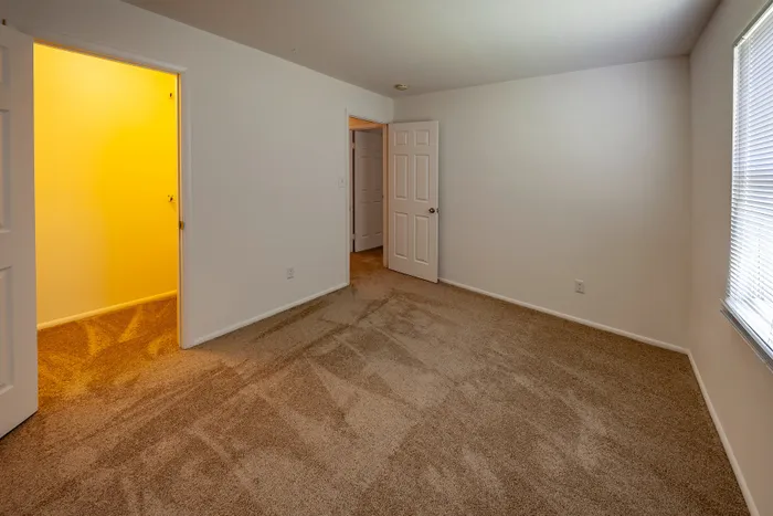 Bright and inviting bedroom with fresh carpeting and ample natural light from a large window, perfect for a cozy bedroom setup.