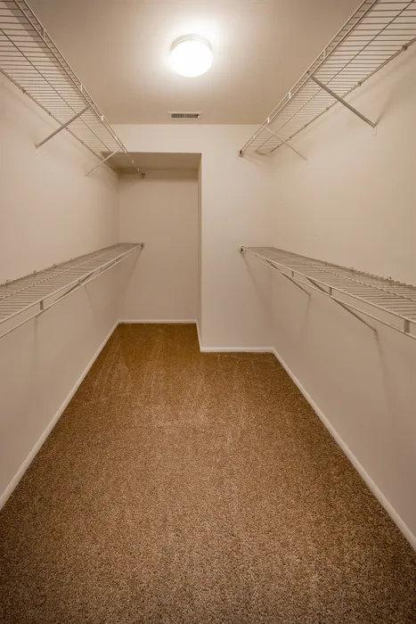 Spacious closet with plush carpet and ample shelving.