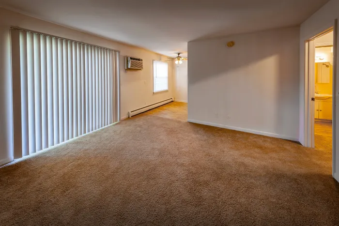 Inviting open living space with soft carpeting, natural light through vertical blinds.