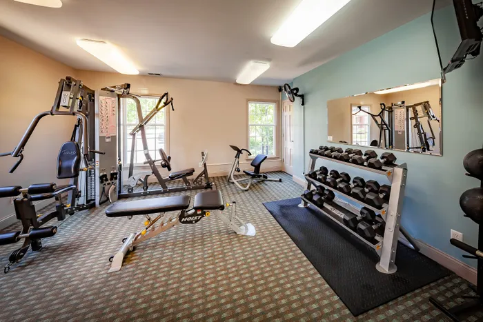 Bright and inviting fitness room equipped with modern exercise machines and a complete set of free weights, perfect for a full workout.