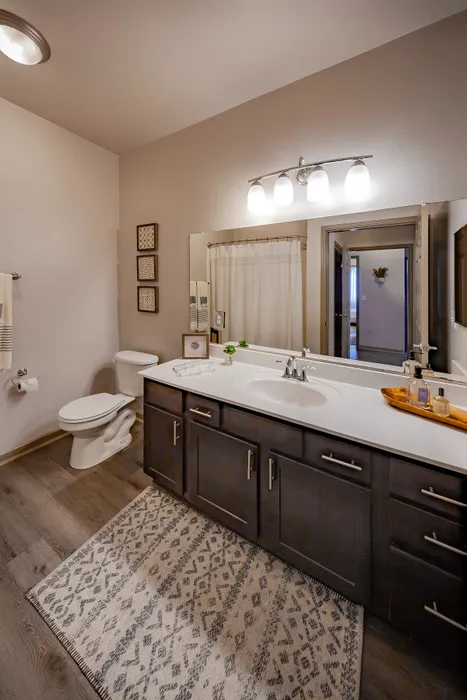 Elegant bathroom with modern fixtures, a spacious vanity, and sophisticated lighting, featuring neutral tones and wooden flooring.