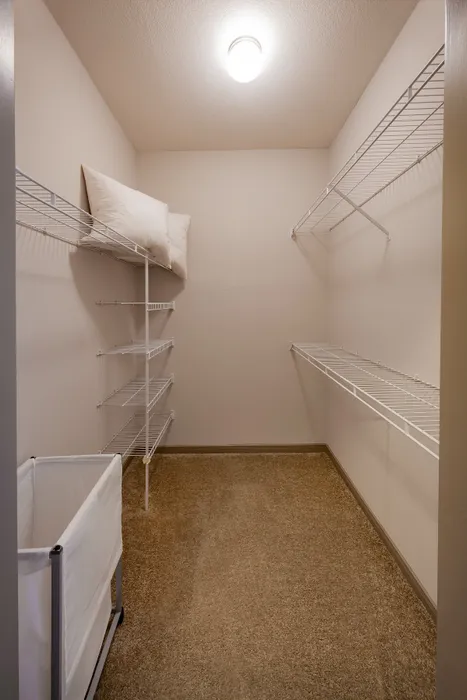 Spacious walk-in closet featuring carpet flooring, ample shelving, and a well-lit interior.