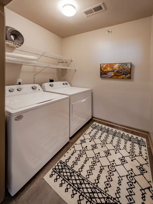 Bright and modern laundry room featuring state-of-the-art washer and dryer, stylish shelving, and an elegant patterned rug.