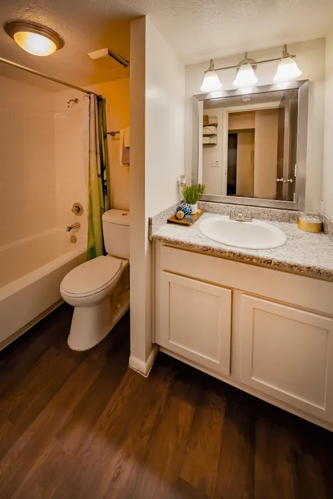 Elegant bathroom featuring modern lighting, sleek granite countertops, and a luxurious bathtub with warm wood flooring.