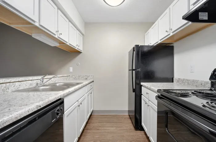 Modern kitchen with sleek countertops, white cabinetry, and black appliances creating an elegant, functional space.
