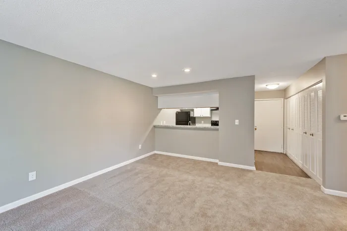 Inviting apartment with plush carpet, open kitchen, and modern lighting, offering a cozy and stylish living space.