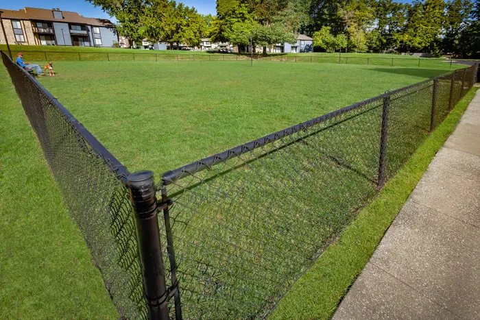 Expansive grassy dog park surrounded by charming residential apartments, perfect for outdoor pet play.