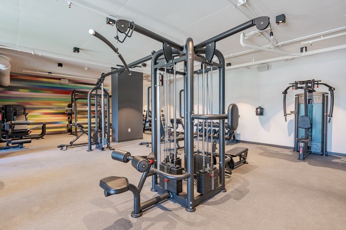 Modern fitness center with state-of-the-art exercise equipment, vibrant striped wall, and spacious workout area.