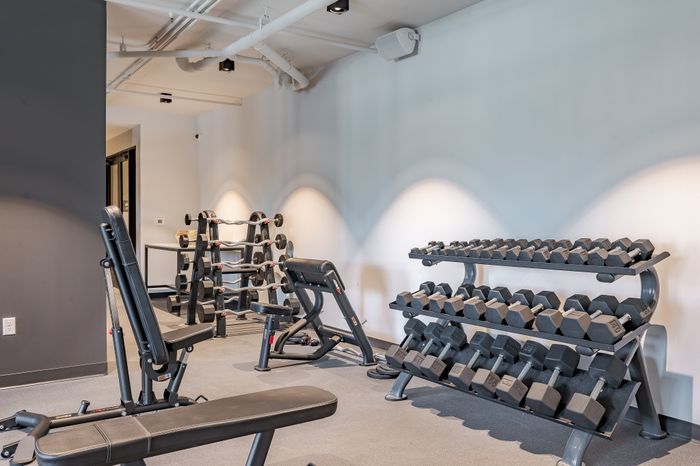 Modern gym featuring a diverse range of weights and sleek exercise equipment, ideal for fitness enthusiasts.