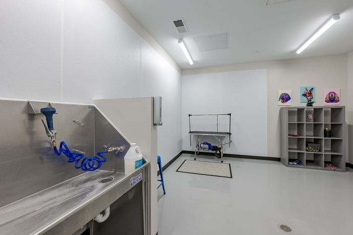 Modern and spacious pet grooming room with a sleek stainless steel sink, colorful pet artwork, and organized shelving.