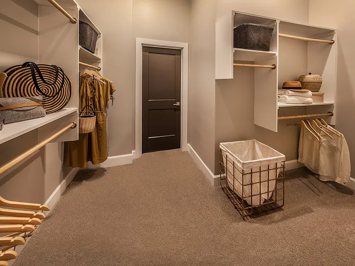 Elegant walk-in closet with ample storage, featuring open shelves, sleek rods, and cozy carpet flooring.