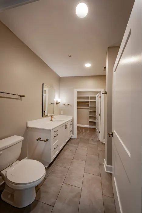 Elegant bathroom with modern fixtures, spacious vanity, and ample closet space, enhanced by soothing neutral tones.