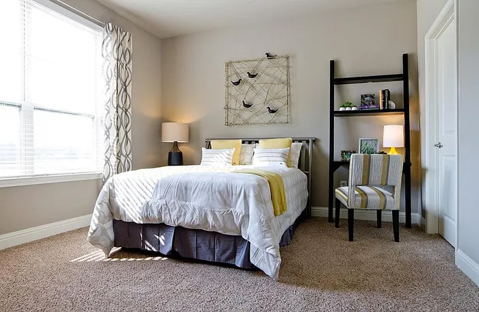 Bright and cozy bedroom with plush carpeting.