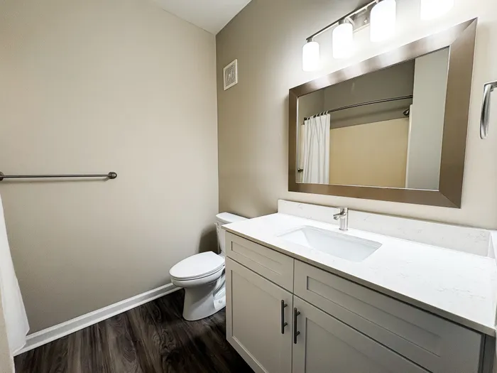 Elegant bathroom with modern vanity, large mirror, and sleek lighting, featuring a sophisticated design and warm wood flooring.