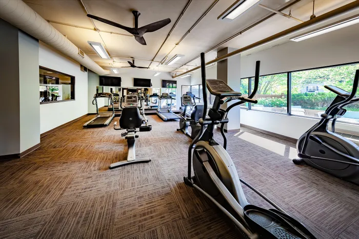 Modern fitness center with state-of-the-art cardio equipment, large windows, and ample natural light.