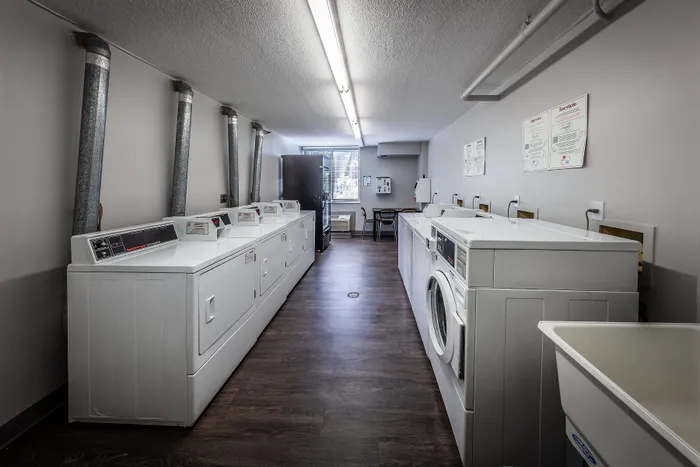 Modern and spacious laundry room with multiple washers and dryers, bright natural lighting, and sleek flooring for convenient living.