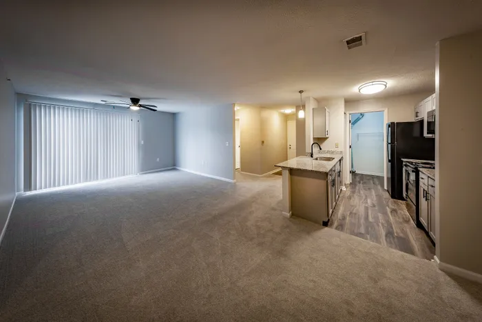 Spacious open-concept living area with plush carpet, modern kitchen featuring sleek appliances, and abundant natural light from large sliding glass doors.