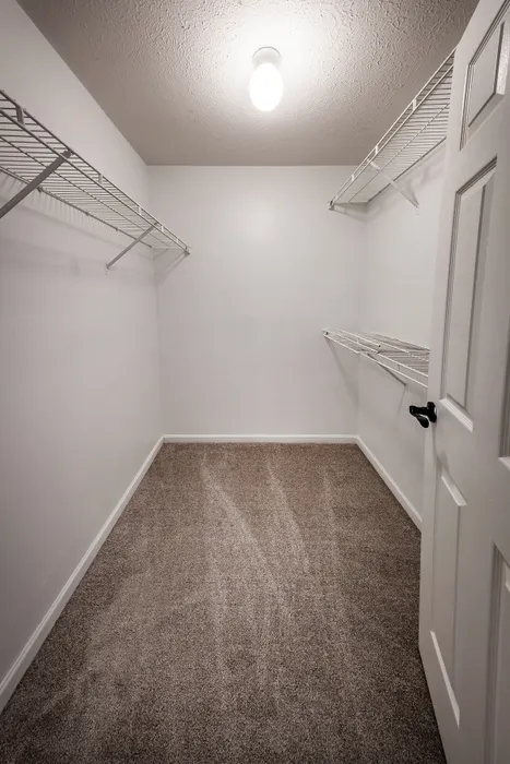 Spacious walk-in closet with plush carpet and ample shelving.