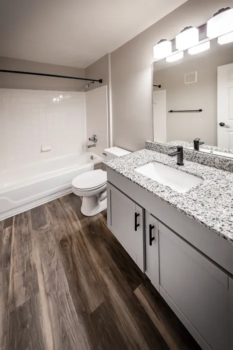 Modern bathroom featuring elegant granite countertops, sleek fixtures, and stylish wood flooring for a luxurious feel.