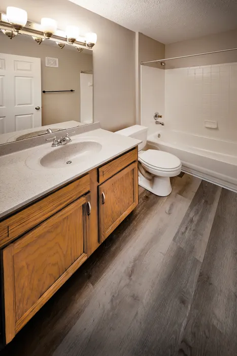 Sleek bathroom with elegant vanity, stylish lighting, and modern fixtures, featuring chic wood flooring for a touch of luxury.