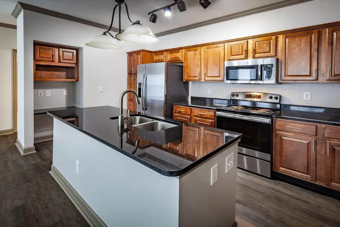 Modern kitchen with sleek granite countertops, stainless steel appliances, and rich wooden cabinetry, ideal for culinary enthusiasts.