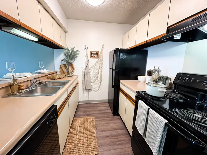 Contemporary kitchen featuring sleek cabinetry, modern appliances, and stylish decor for a warm and inviting atmosphere.