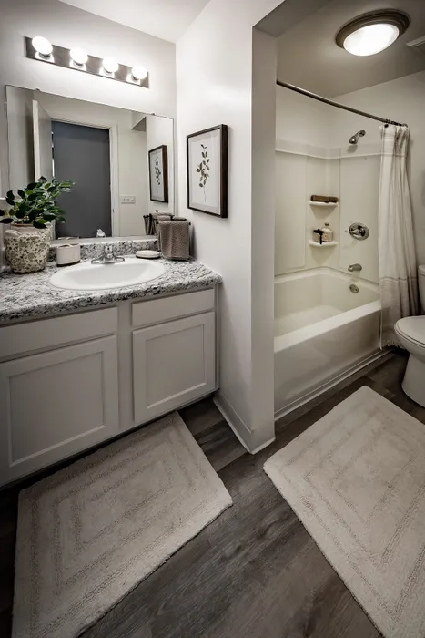 Pebble Point Apartments - Elegant modern bathroom with sleek granite countertop and polished fixtures, featuring a stylish vanity, cozy lighting, and a pristine shower-tub combination.
