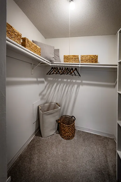 Pebble Point Apartments - Spacious walk-in closet with plush carpeting, and organized shelves.