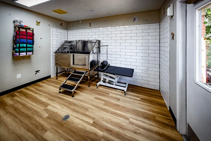 Bright and modern pet grooming room featuring a sleek metal wash station, wall-mounted colorful towel display, and easy-to-clean white tiled walls with whimsical pet decals.