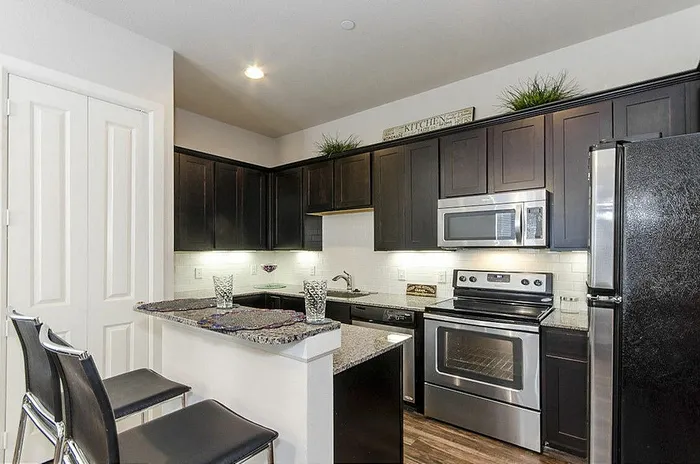 Modern kitchen with sleek dark cabinets, stainless steel appliances, and a cozy breakfast bar.