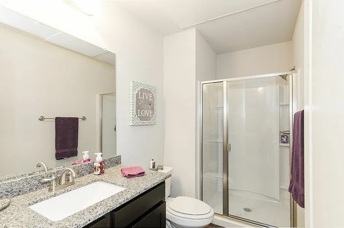 Modern bathroom with elegant granite countertop, spacious glass shower, and stylish decor, offering a serene retreat.