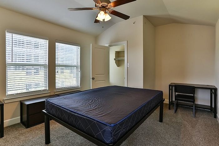 Inviting bedroom with ample natural light, featuring a ceiling fan, cozy carpet flooring, and a convenient walk-in closet.