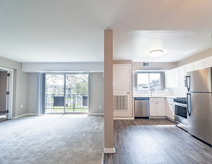 Modern Kitchen