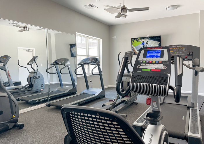 Modern fitness room featuring high-end treadmill equipment and mirrors, bathed in natural light.