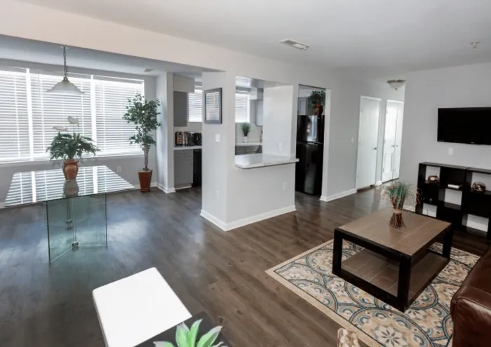Bright, open-concept apartment living area with modern furnishings, wooden flooring, and ample natural light.