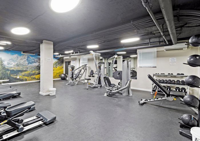 Modern fitness center with state-of-the-art equipment and mountain mural.