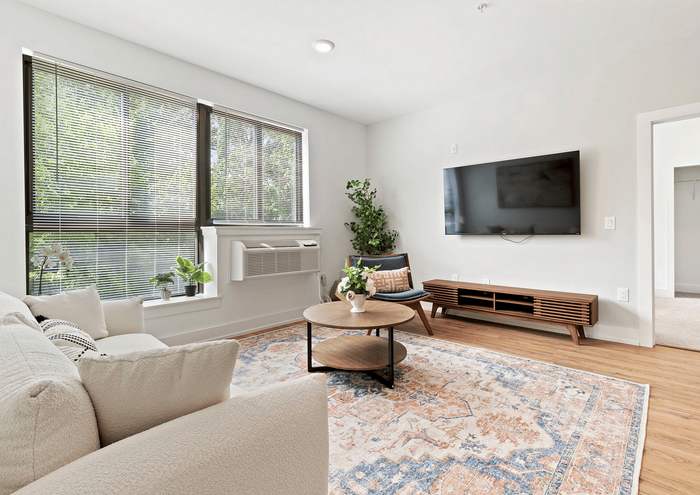 Bright modern living room with plush sofa, patterned rug, flat-screen TV, and large windows with blinds.