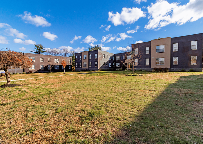 Expansive courtyard area surrounded by modern apartment buildings under a clear blue sky.