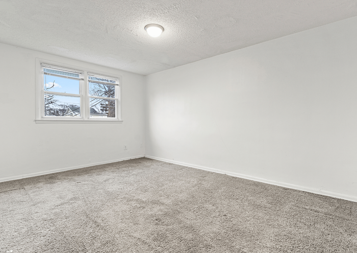 Sunlit empty room with soft carpeting and a large window offering a serene outdoor view.