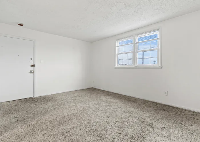 Light-filled empty room with carpet, large window, and white walls.
