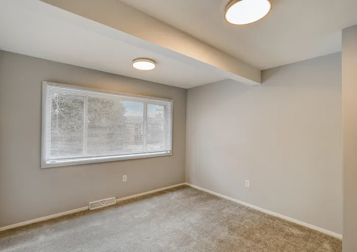 Bright room with large window, plush carpet, and minimalist lighting for a cozy atmosphere.