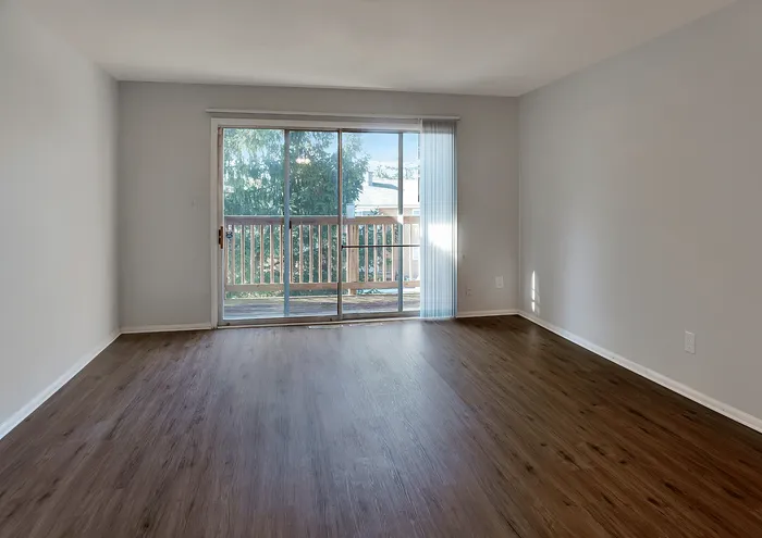 Sunlit empty living room with large sliding glass doors leading to a balcony.